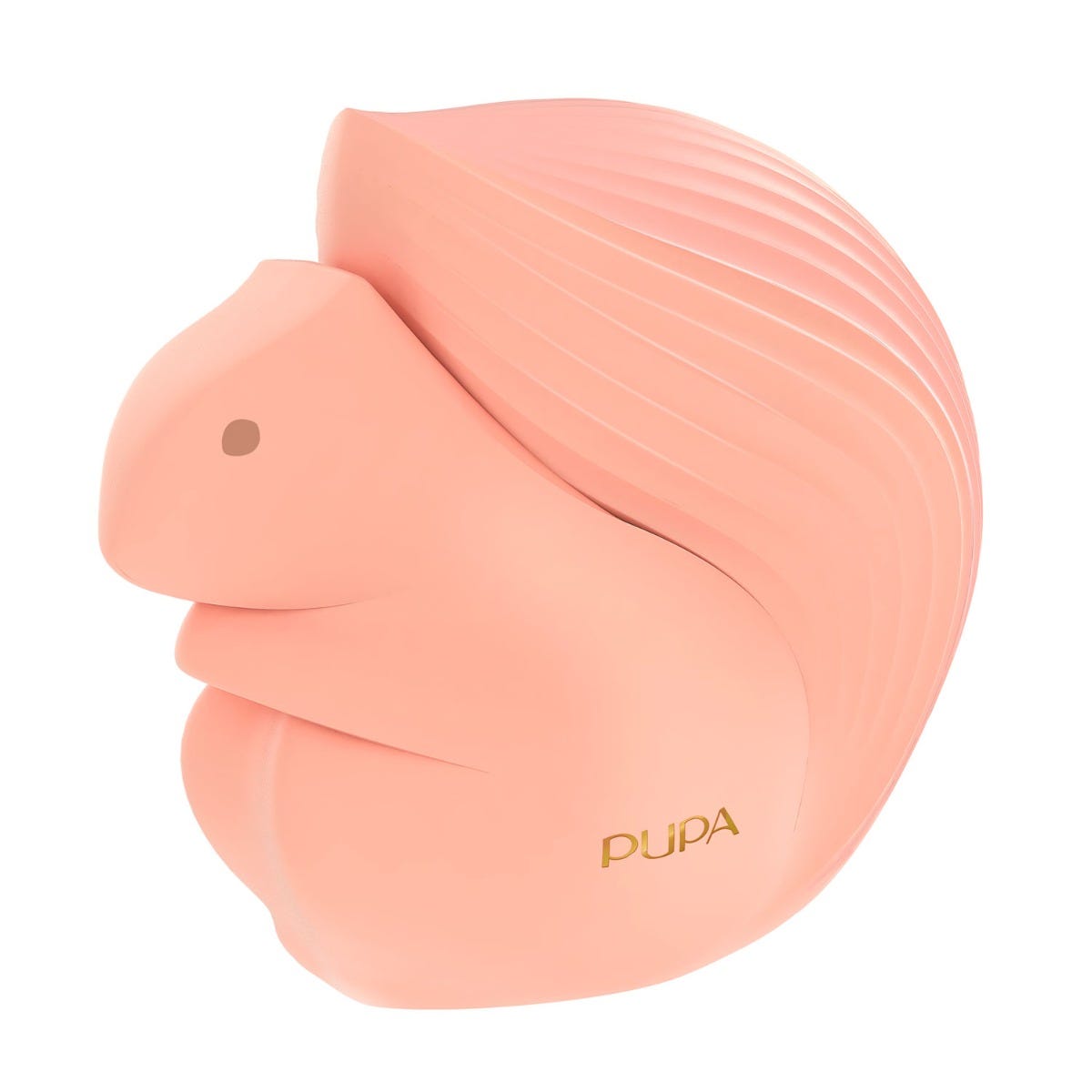 Pupa Squirrel 1