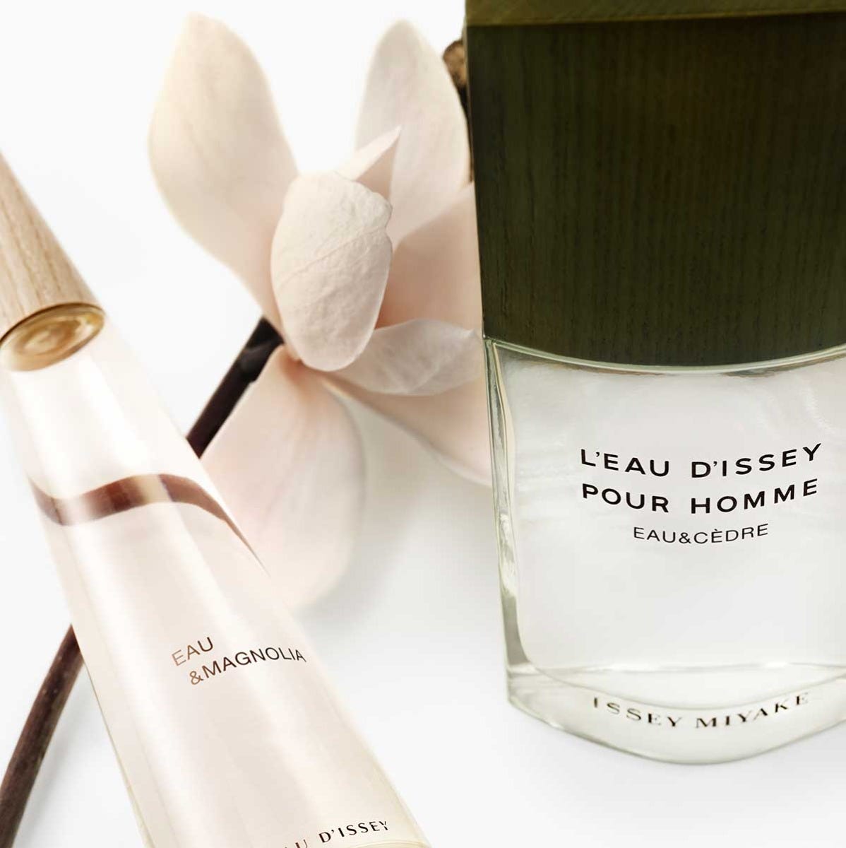 Eau & Magnolia