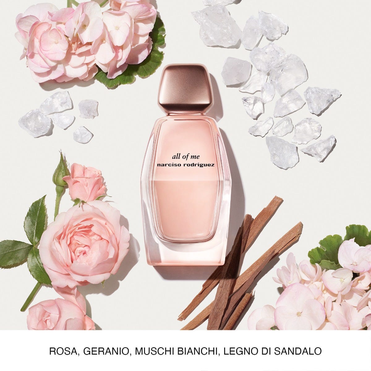Narciso Rodriguez All of Me