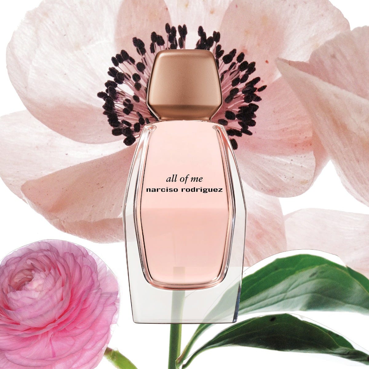 all of me - Cofanetto eau de parfum