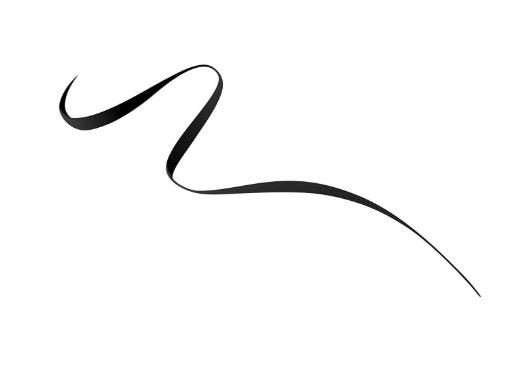 Eyeliner Exaggerate Waterproof Liquid