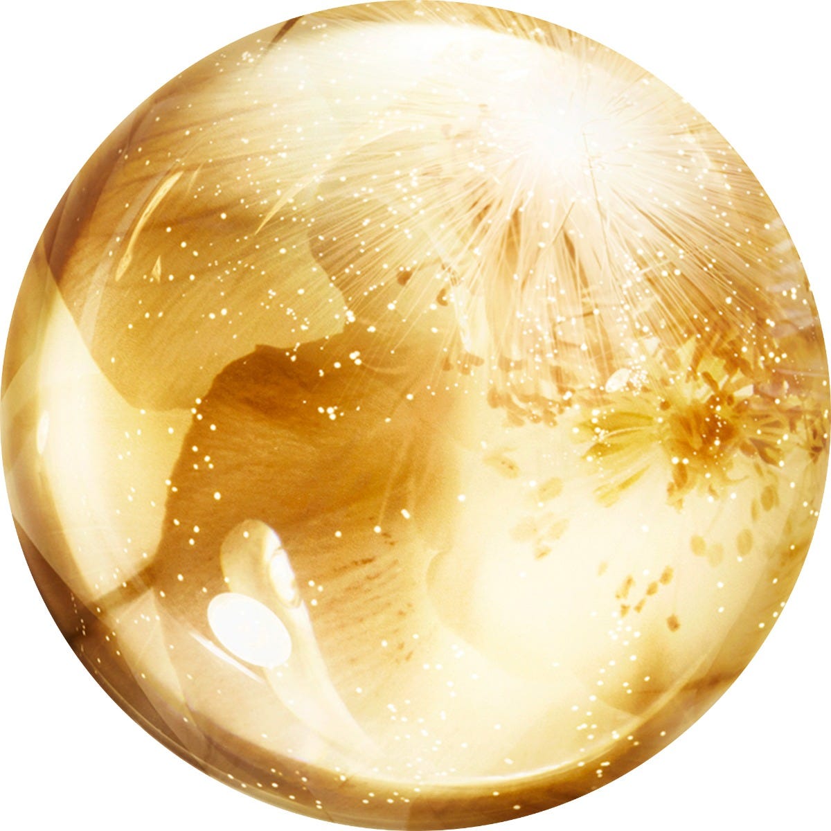 Prodigy Cellglow - The Intense Clarity Essence 125ml