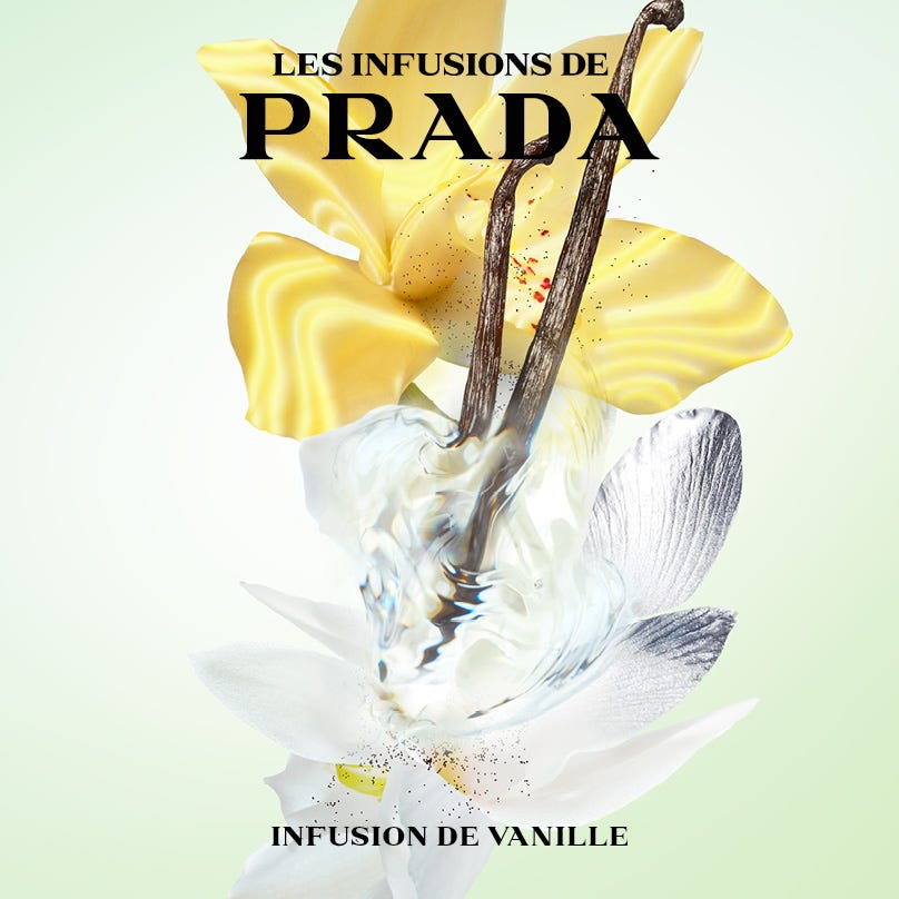 Infusion Vanille