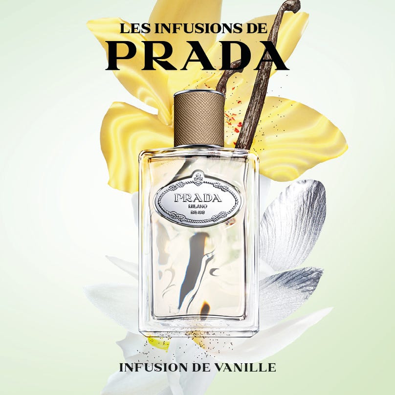 Infusion Vanille