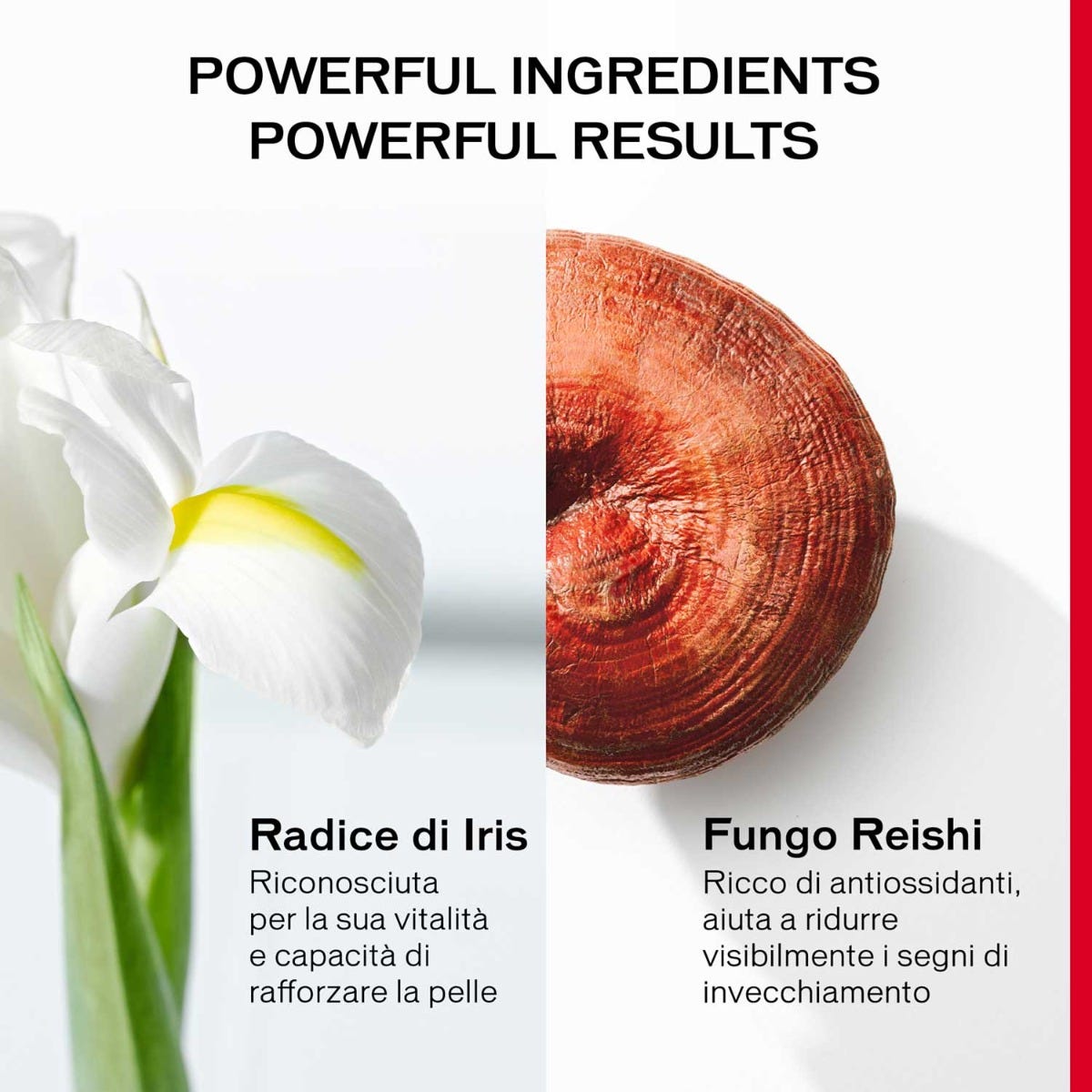 Ultimune Power Infusing Concentrate 75ml