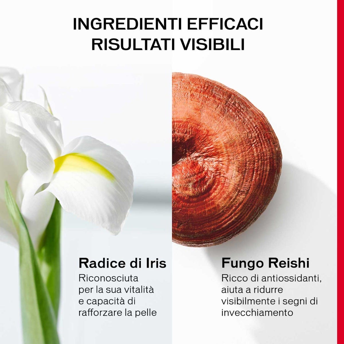 Ultimune Power Infusing Concentrate 75ml