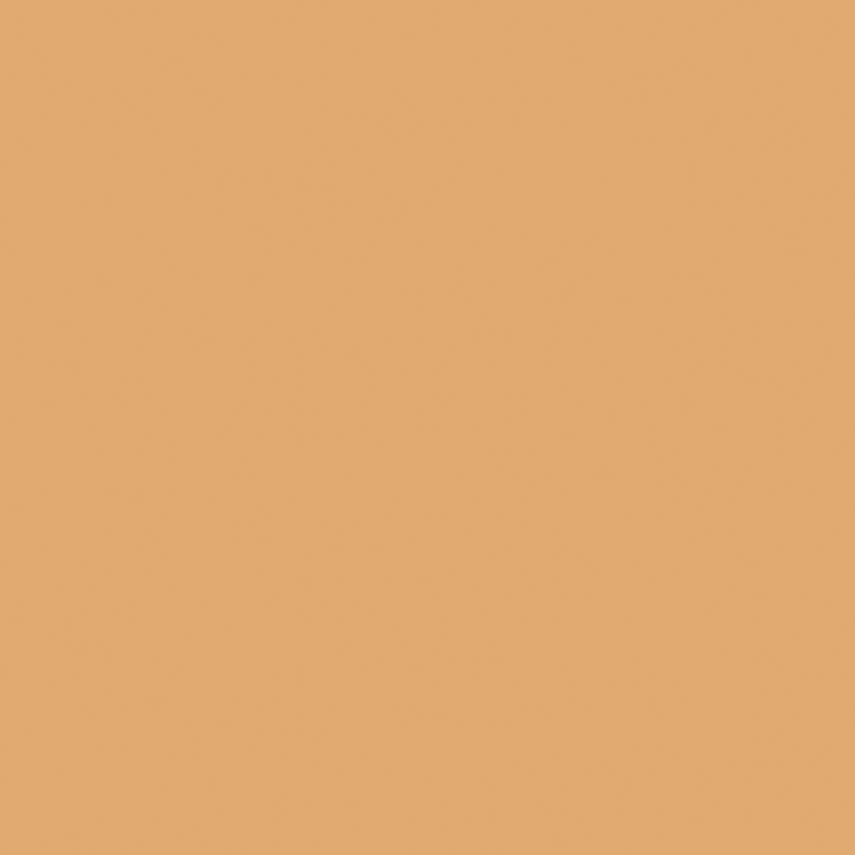 Sally Hansen Airbrush Trucco per Gambe, Lozione, Fairest, 4.0 Fl. Oz