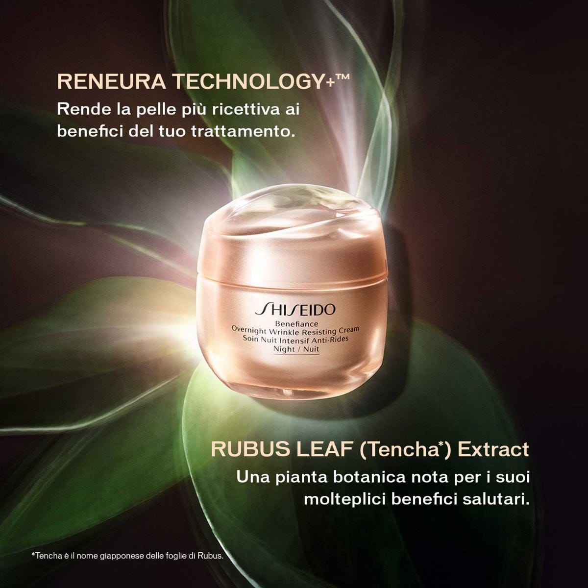 Overnight Wrinkle Resisting Cream 50 ml
