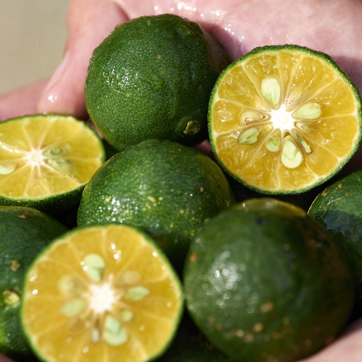 Shikulime Gel to Oil Cleanser 125ml