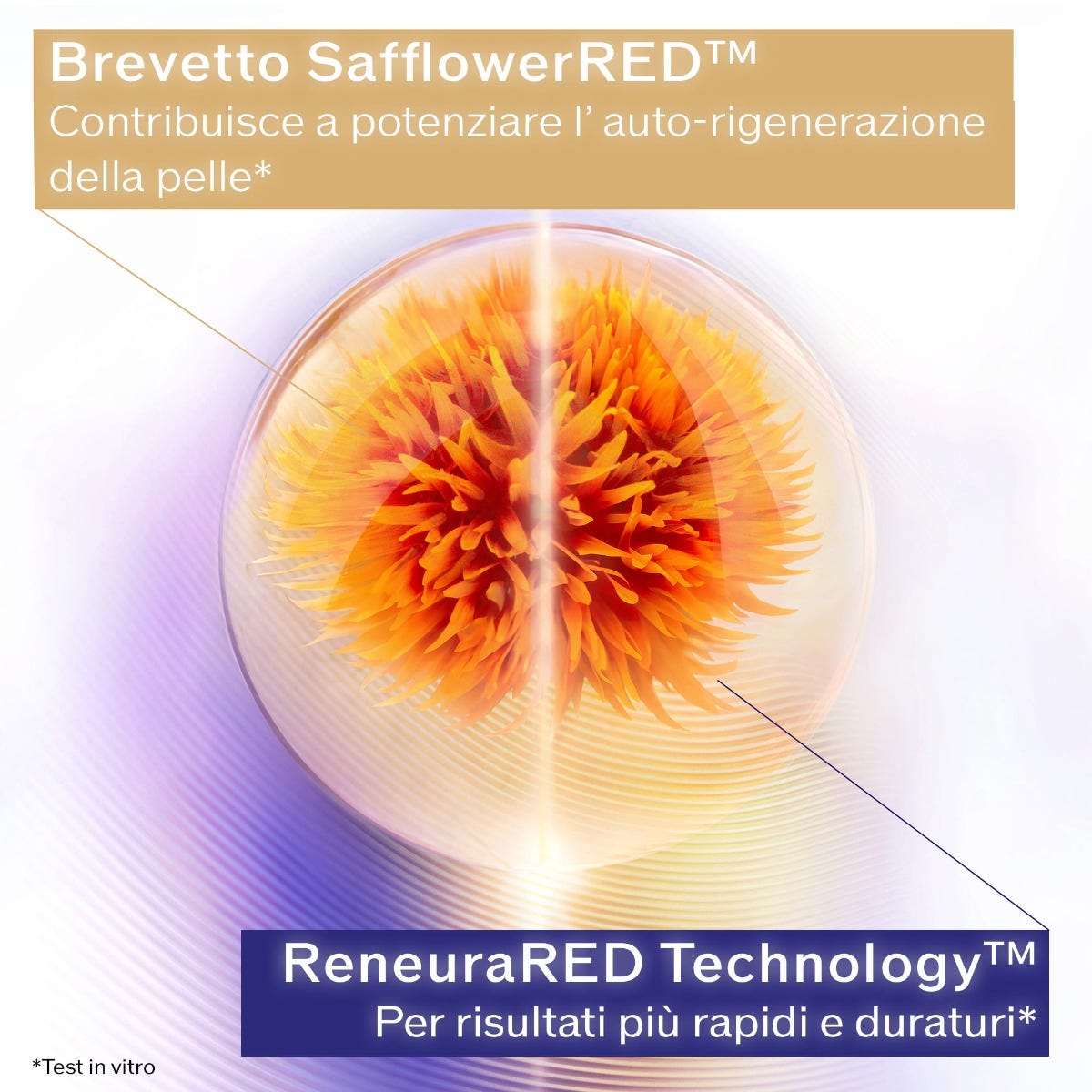 Uplifting and Firming Advanced Cream