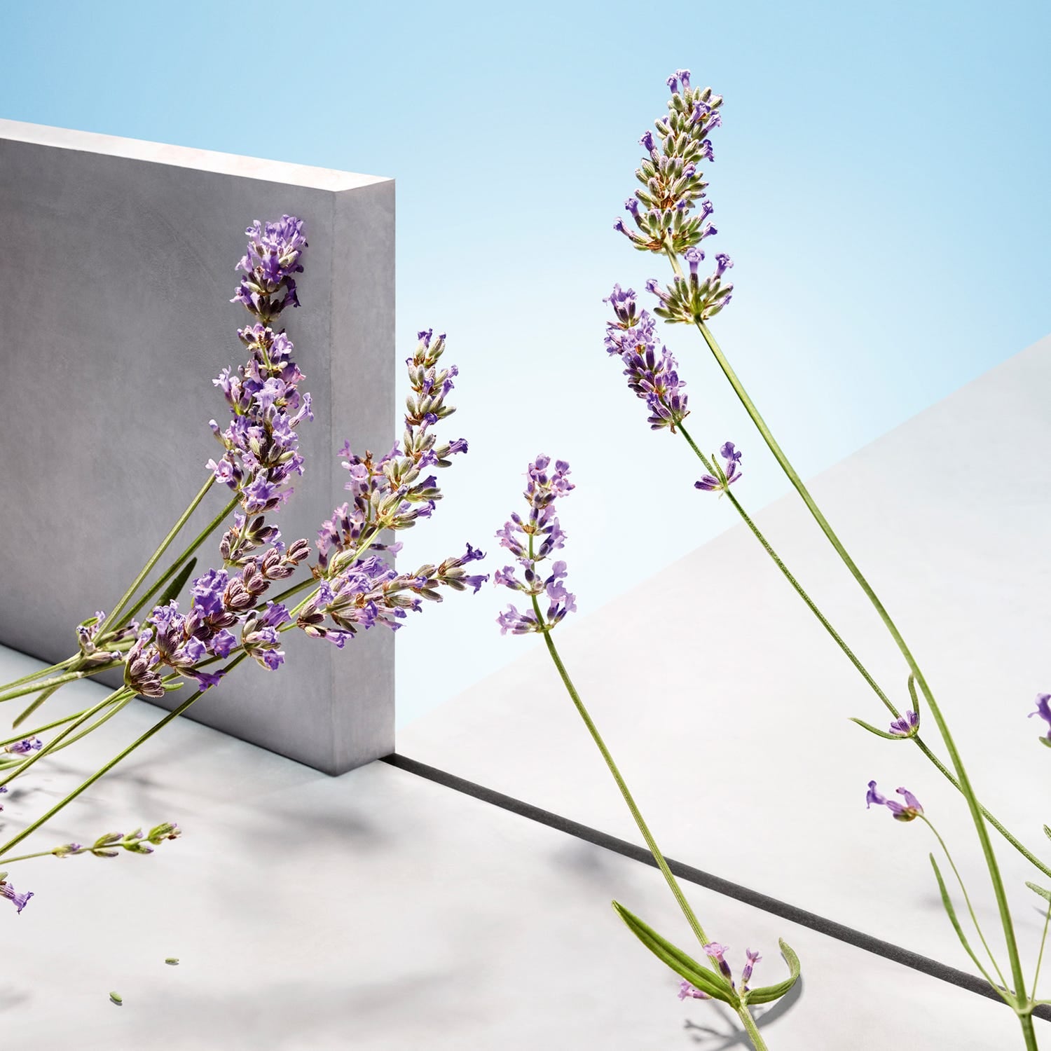 Hugo Man Deospray 150 ml