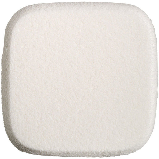 Spugna In Lattice - Sweet Sponge