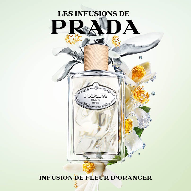 Infusion Fleur D'Oranger