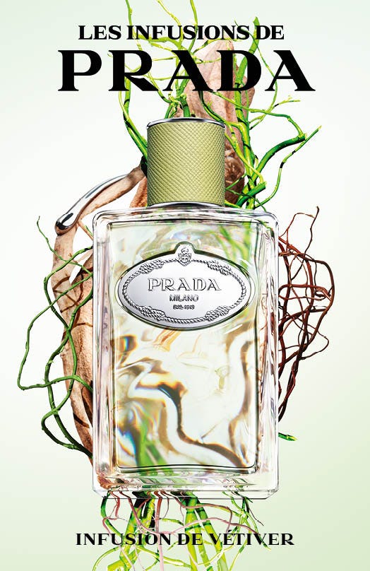Infusion Vetiver