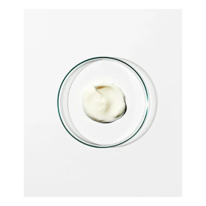 Anti Frizz Conditioner 0.5
