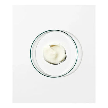 Anti Frizz Conditioner 0.5