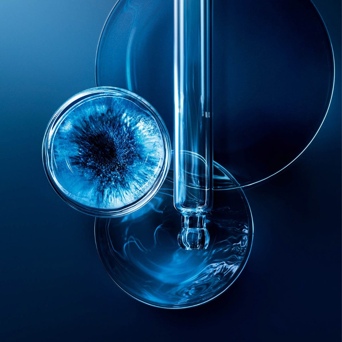 Life Plankton™ Elixir