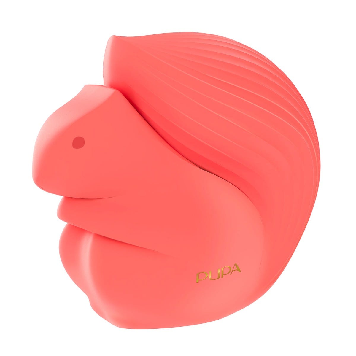 Pupa Squirrel 1