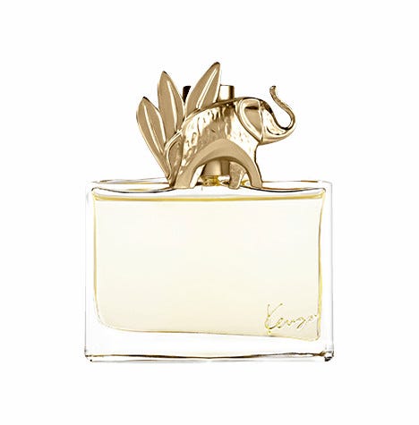 Jungle 100ml