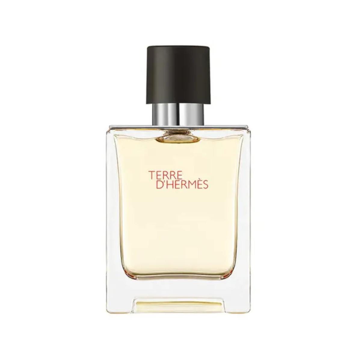 Hermès Terre d'Hermès Eau De Toilette Pour Homme 50ml
