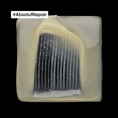 Serie Expert Absolut Repair Shampoo
