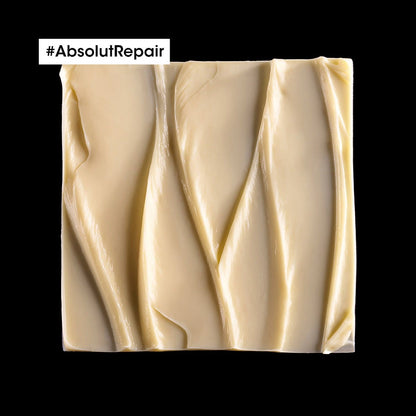 Serie Expert Absolut Repair Maschera 250ml