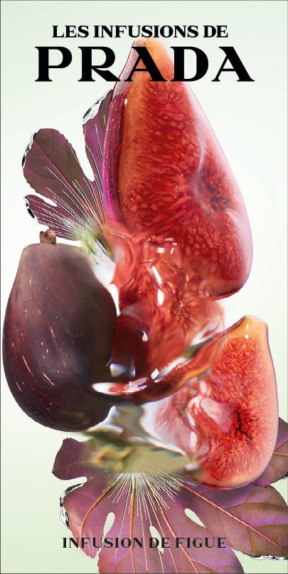 Infusion de Figue