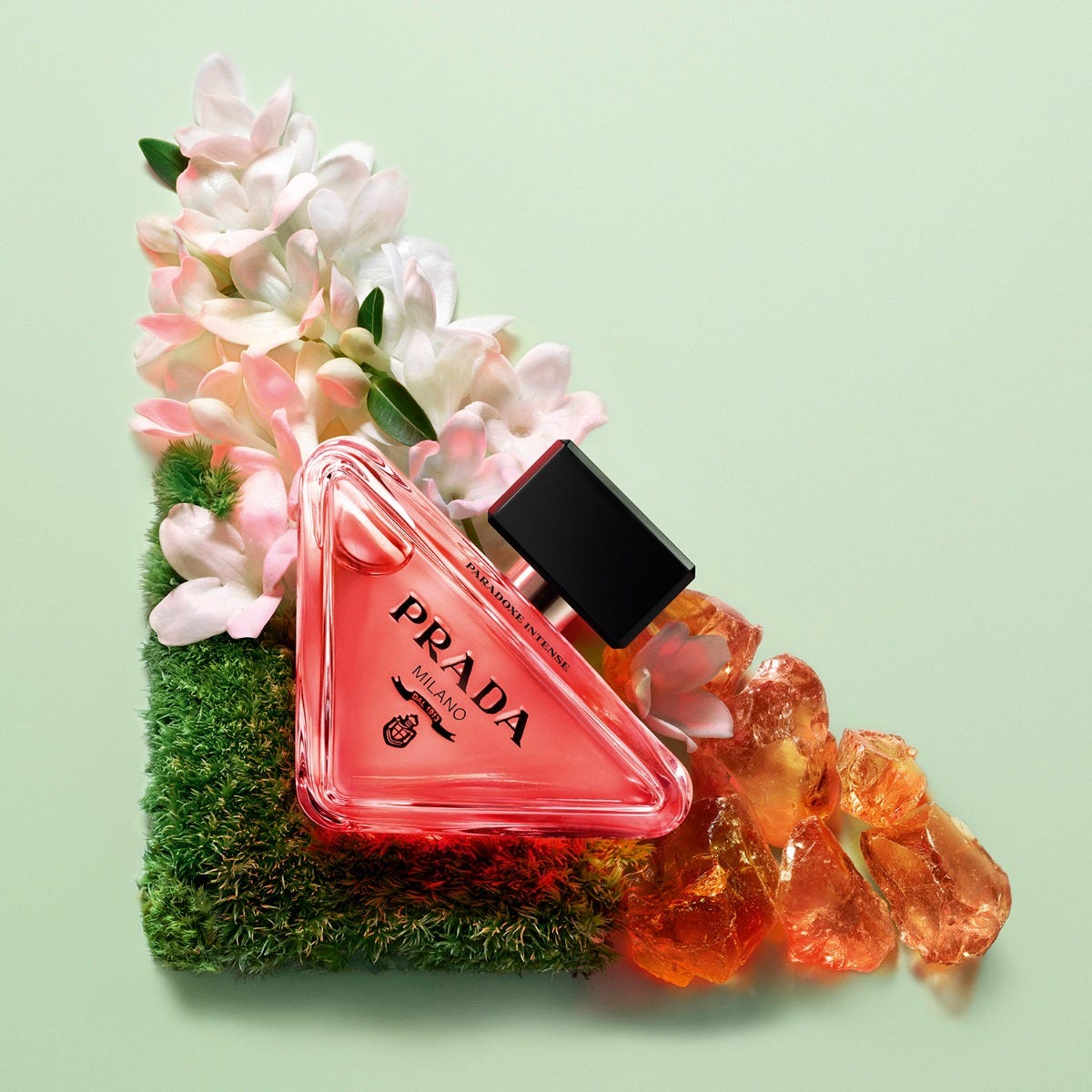Paradoxe Intense