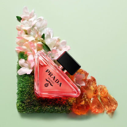 Paradoxe Intense