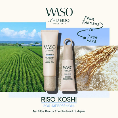 Koshirice Tinted Spot Treatment