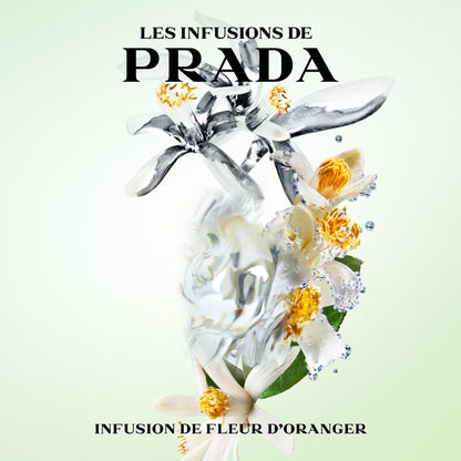 Infusion Fleur D'Oranger
