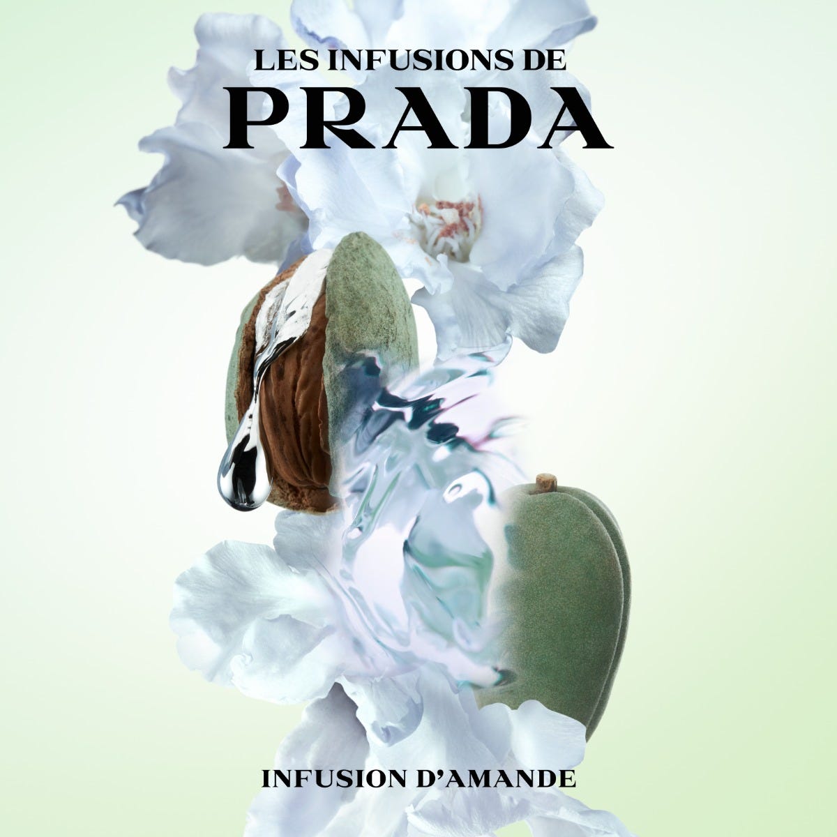 Infusion Amande