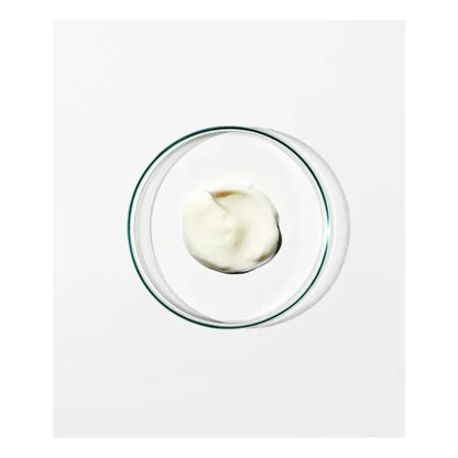 Anti Frizz Conditioner 0.5