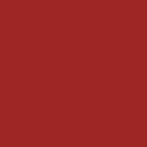 Red Hot Rio