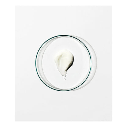 Detox Night Cream