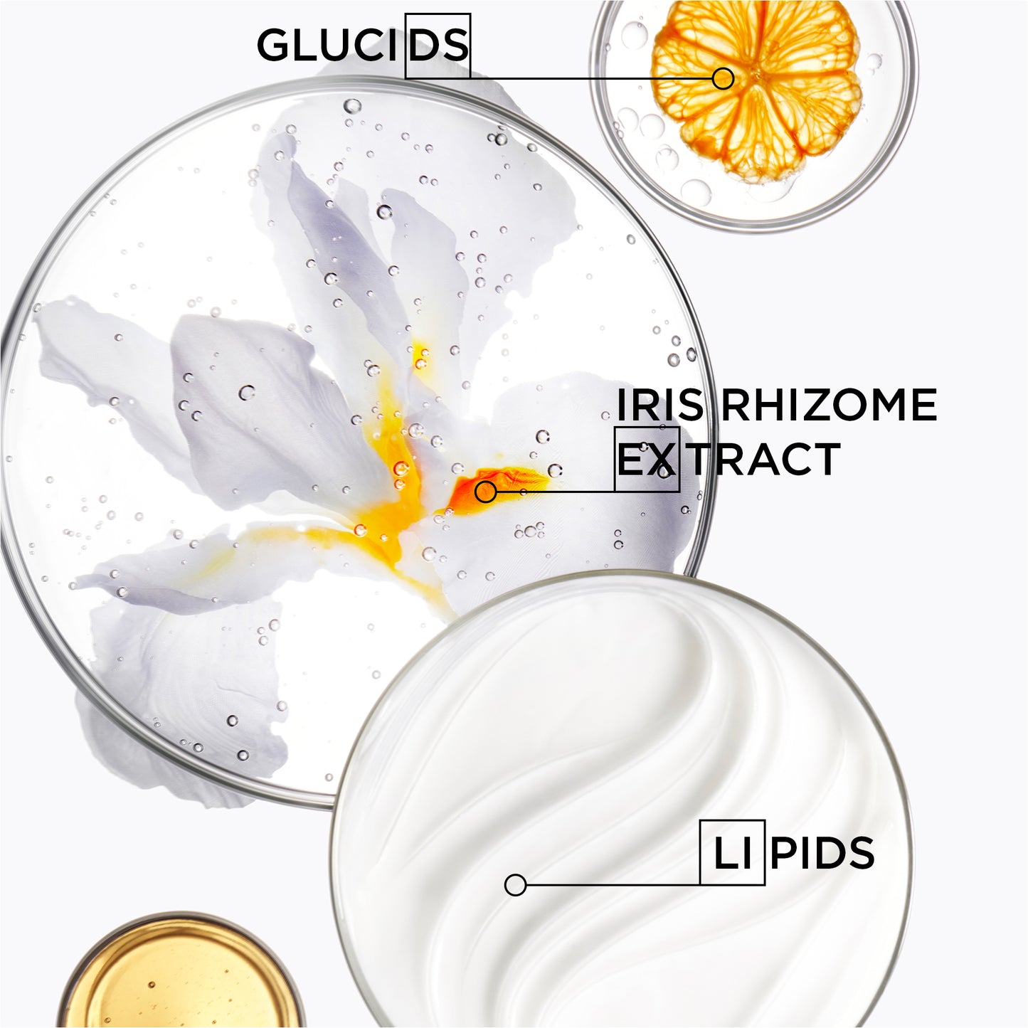 Nutritive Bain Satin 1000ml