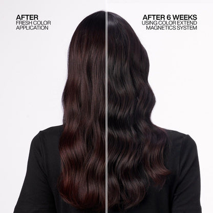 Color Extend Magnetics Conditioner 500ml